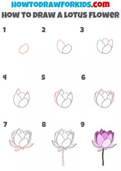 how to draw a lotus flower with step by step instructions for kids and beginners