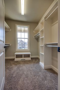 an empty walk in closet next to a window with light coming through the window and carpet on the floor