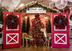 a christmas tree and two deers in front of a red barn decorated for the holiday season