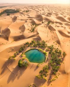 an aerial view of the desert with a small lake surrounded by trees and sand dunes