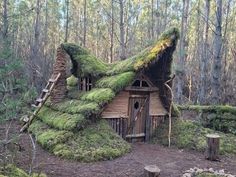 a small house with moss growing on it's roof in the middle of a forest