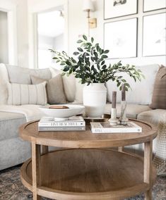 a living room with a couch, coffee table and potted plant on top of it