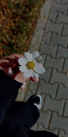 a person holding a white flower in their hand