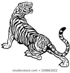 a black and white drawing of a tiger sitting on its hind legs with one paw in the air