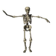 a skeleton is standing in the dark with its arms spread out and one hand outstretched