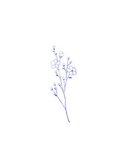 a drawing of some flowers on a white background