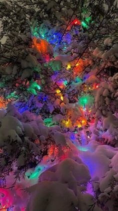 an image of christmas lights on trees in the snow with no leaves or branches around them