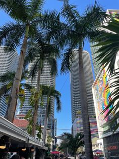 palm trees line the street in front of high rise buildings