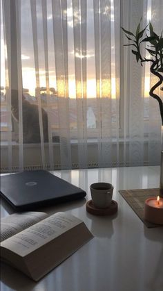 a vase with a plant on it sitting next to an open book and a laptop