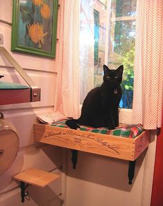 a black cat sitting on top of a window sill