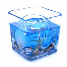 a square glass container filled with blue liquid and seashells on the bottom,