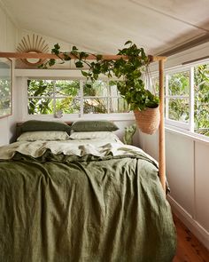 a bed in a bedroom with plants hanging from the ceiling and pillows on top of it