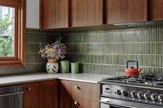 a stove top oven sitting under a window next to a potted plant on a counter