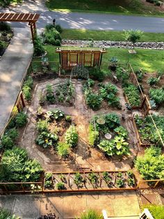 an aerial view of a garden with lots of plants