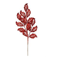 a red plant is shown on a white background