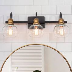 a bathroom mirror with three lights and a potted plant on the counter in front of it