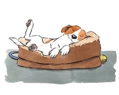 a drawing of a dog laying on top of a piece of furniture with its paw in it's mouth