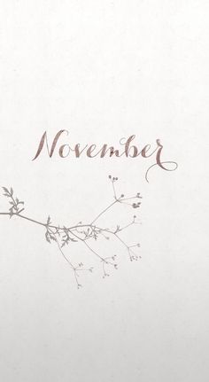 a white sheet with the word november written on it and a branch in front of it