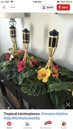 some plants and flowers are sitting on a table