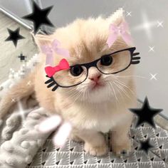 a small kitten wearing glasses with bows and stars on it's head, sitting on a blanket