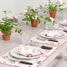 As fresh as an organic cutting garden, our Botanical Garden print is crisp and distinctive, with fresh red poppy flowers, miniature yellow daffodils and lavender bluebells floating on a soft white linen base. Edged with a red scalloped stitch, this exclusive printed design is "seasonless"; perfect for everyday and elevated entertaining. These elgeant linen scallop edged placemats will elevate the finest of finest dinners in your home! Living Room Throws, Amity Home, Yellow Daffodils, Poppy Flowers, Garden Print, Red Poppy, Linen Set, Kitchen Linens, Placemat Sets