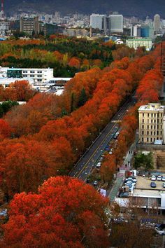 an aerial view of a city with lots of trees in the foreground and cars on the road