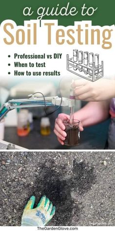 an image of soil testing with text overlay that reads, a guide to soil testing professional vs diy when to test how to use results