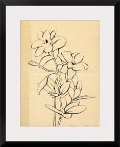 a black and white drawing of flowers in a vase on a beige paper with a black frame