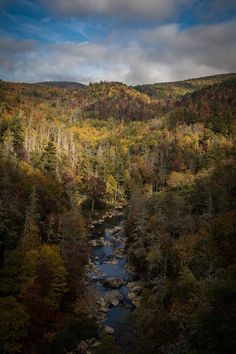 a river running through a forest filled with lots of trees covered in fall foliage under a cloudy sky