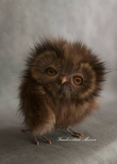 an adorable little owl sitting on top of a chair