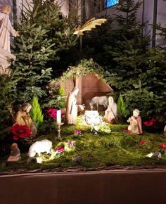 an outdoor nativity scene with figurines and trees