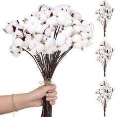 PRICES MAY VARY. Reliable and Serviceable to Use: our cotton plant decors are mainly made of silk cotton, feel soft and natural, with high ornamental value, dried enough for a long time preservation; The branches of the cotton decorative flower stems are made of wire, firm and stable, and can be adjusted according to your actual needs; Vase is not included Moderate Sizes for You: each cotton flower measures approx. 15.74 inches in height, along with 1 piece of ball, measuring about 1.57-2.36 inc Cotton Plant Decor, Antique Wedding Decor, Fall Vase Filler, Fall Vase, Cotton Branches, Fall Floral Decor, Farmhouse Decorations, Rustic Garden Wedding, Home Wedding Party