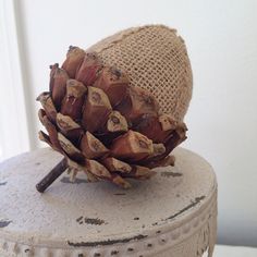 a pine cone sitting on top of a wooden box