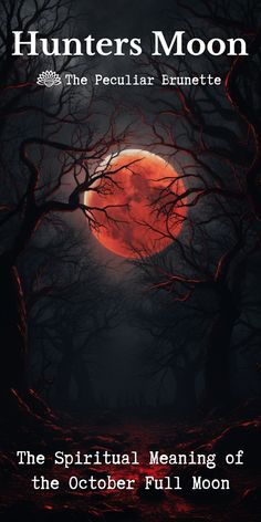 the cover of hunters moon, with trees and red moon in the sky behind it