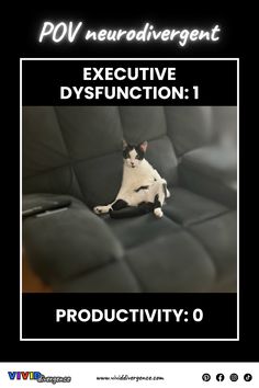 a black and white cat sitting on top of a couch next to the words executive dysfunction