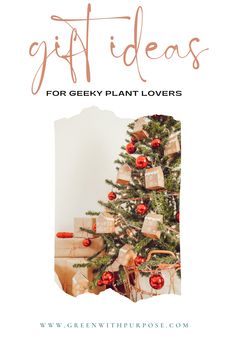 Gift Ideas For Plant Lovers, Plant Identification App, Houseplant Tips, Gifts For Plant Lovers, Terrarium Supplies, Plant People, Get Gift Cards, Terrariums Kits, Bee Friendly