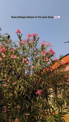 pink flowers are blooming in front of an orange building with the words, everything's bloomin'it's own time