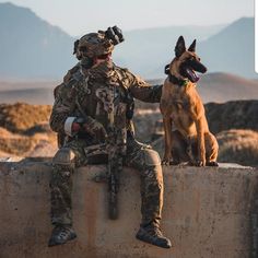 a man in camouflage sitting on a wall next to a dog with his arm around him