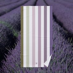 a field with rows of lavender flowers and a striped towel hanging from it's side