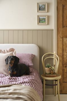 A cosy room painted entirely in Annie Sloan paints, featuring Coco Chalk Paint panelling, Canvas Wall Painted walls, and a Canvas Satin door architrave. A pink Linen Union cushion on the bed and a Versailles Chalk Paint chair used as a bedside table with Tyrian Plum. Door Architrave, Tin Opener, Cosy Bedroom, Storing Cookies, Wall Paint Colors, Paint Colours, Paint Shades, Handmade Cushions