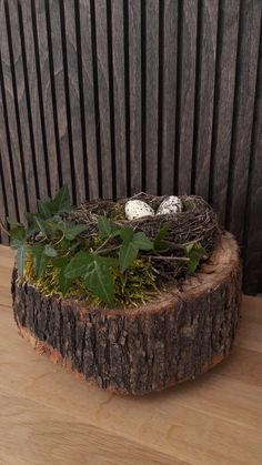 a bird's nest on top of a tree stump with ivy and eggs in it