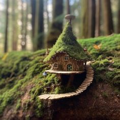 a small house made out of moss in the woods