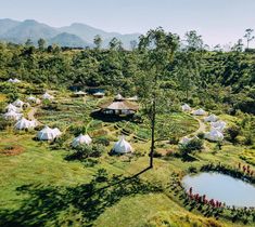 an aerial view of several tents in the middle of a field with trees and flowers