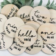 wooden coasters with handwritten words on them and greenery in the back ground