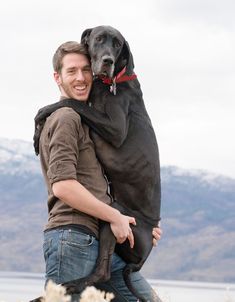 a man carrying a large black dog on his back