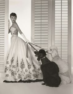 a woman in a ball gown standing next to two poodles and one dog