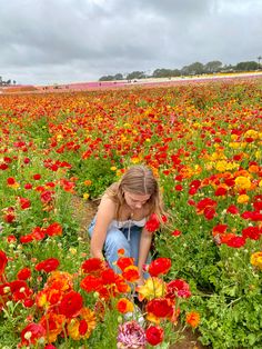 a woman kneeling down in a field full of red, yellow and orange flowers on a cloudy day