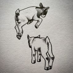 an ink drawing of two cows with one laying on its back and the other standing up