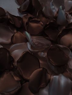 a pile of chocolate colored petals laying on top of each other