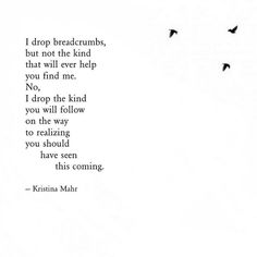 birds flying in the sky with a poem written on it that reads i drop breadcrumbs, but not the kind that will ever help you find me